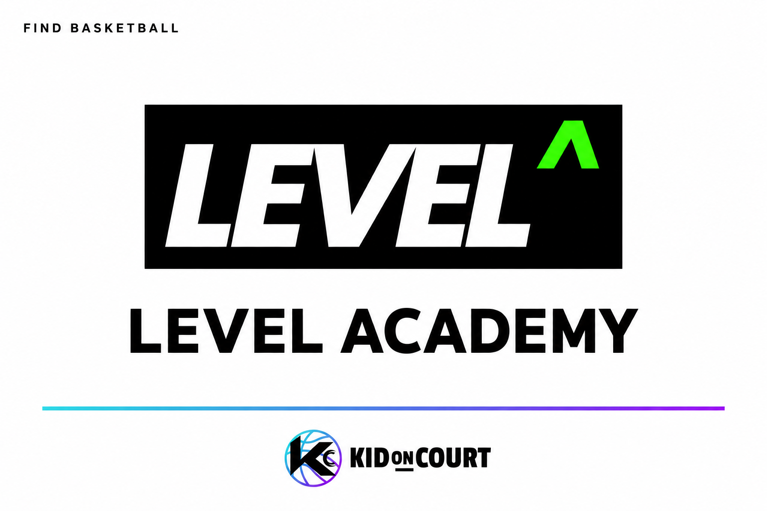 Level Academy basketball training logo